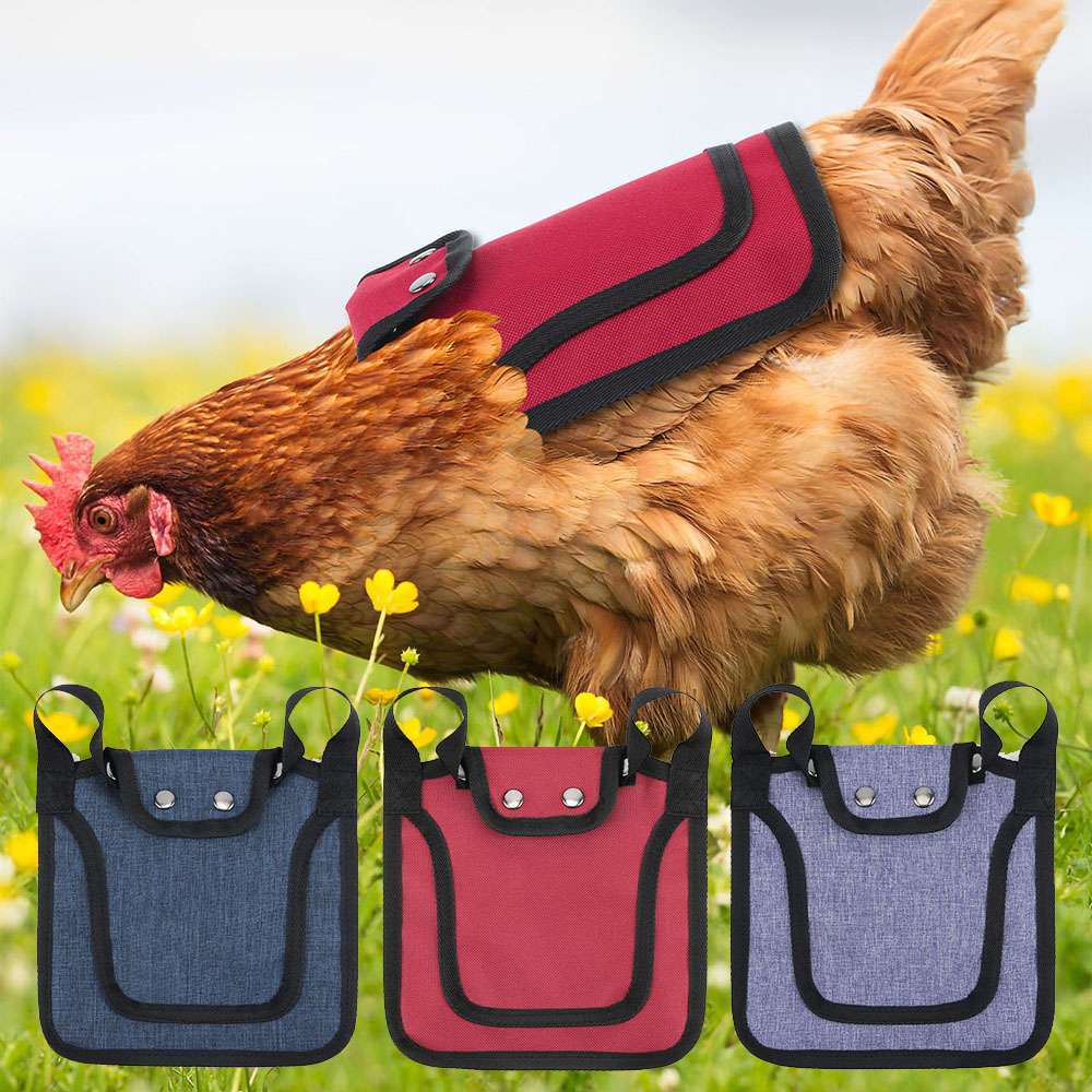 Chicken Protection Back Wing Protector Hen Chicken Saddle Back Apron Jacket Coat