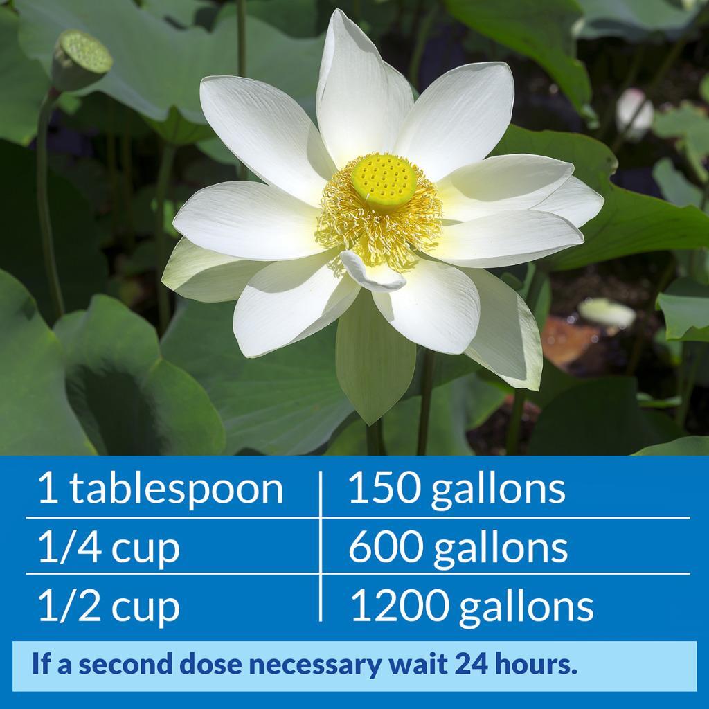 PondCare Accu-Clear Pond Clarifier 16oz treats 4800 US gal Fountains/Ponds/Aquar