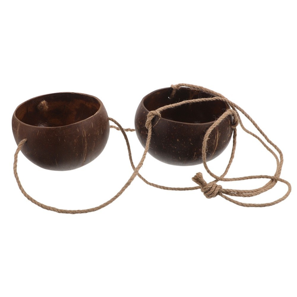Hanging Coconut Shell Planter Pot - Two-Layer Wall Plant Hanging Basket - Round
