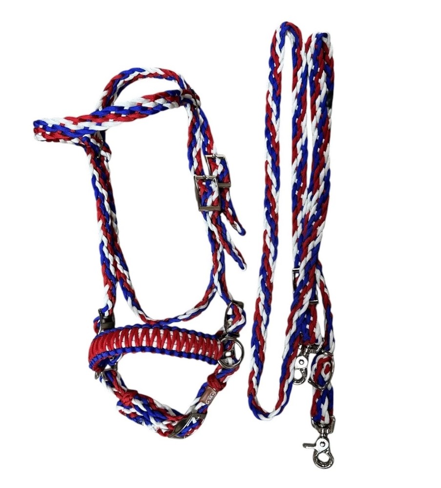 bitless bridle with reins