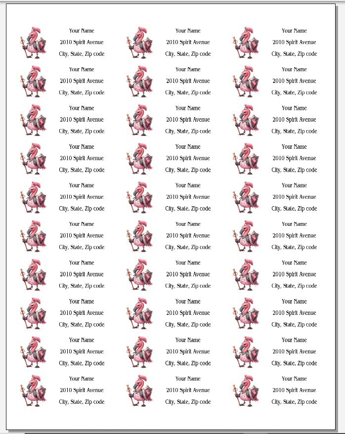 150 Flamingo Knight Armor Mailing Return Address Labels Personalized