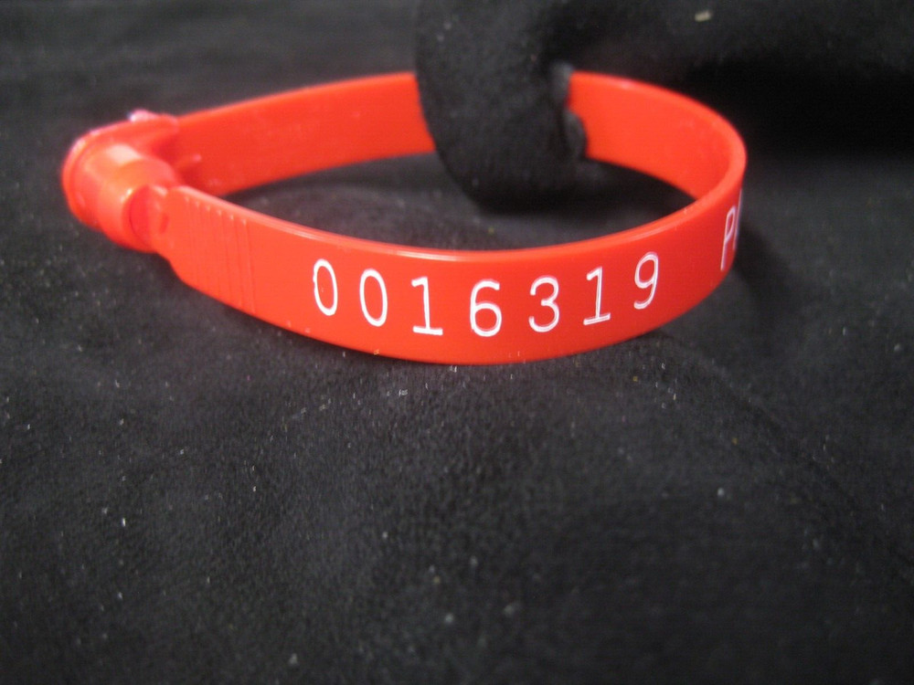 Suede Deer Leather # 0016319 Row WW