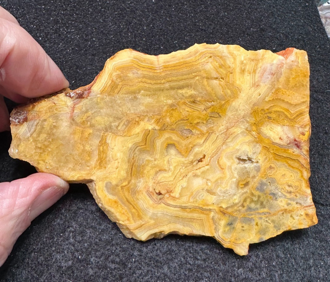 Yellow Crazy Lace Agate unfinished slab, great for cabbing 2.99oz (#1057)