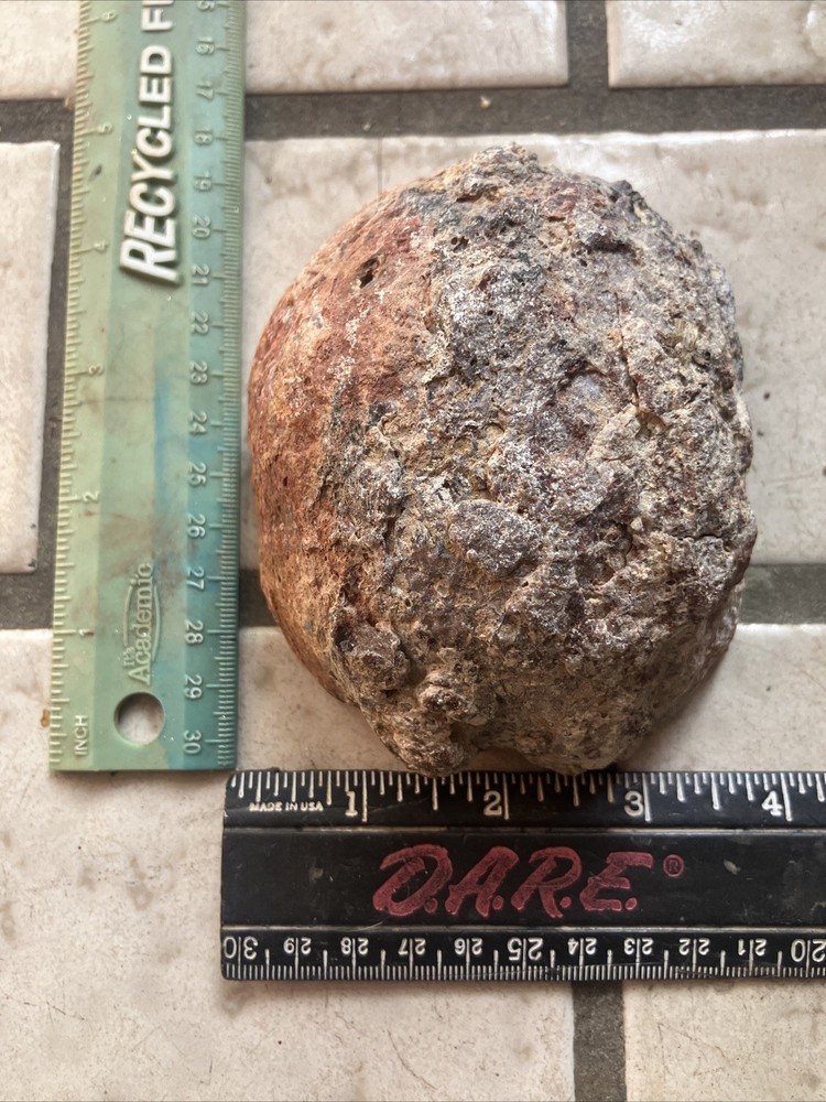 Trancas Thunder egg (half)