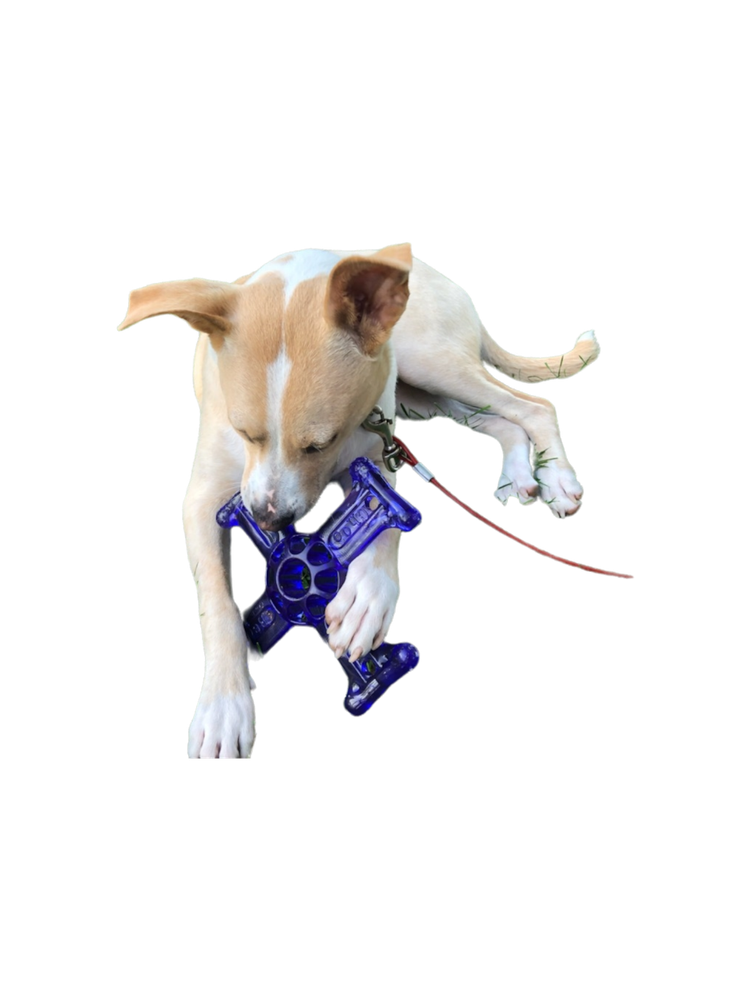 ChooBee® Dog Toys Maxx 4
