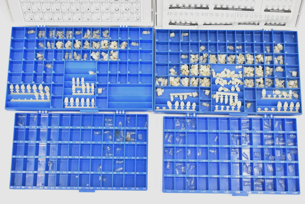 Dental Crowns Polycarbonate & Crown Forms Various Sizes in Organizer Boxes