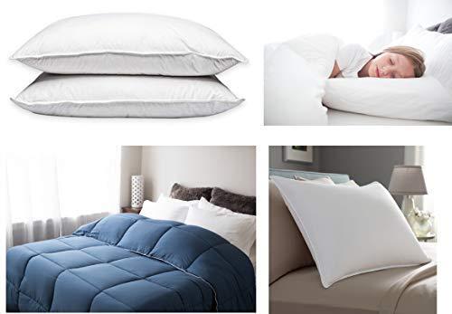 Feather/Down-Proof, 100% Cotton, Pillow Protector - Reduce Pokes with
