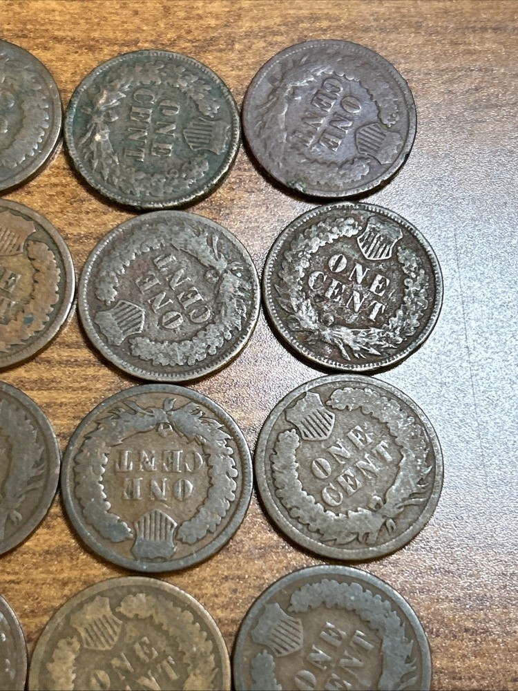 24 x 1886 Indian Head Cents - Mostly Type 2