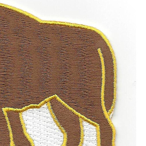 10th Cavalry Regiment Patch