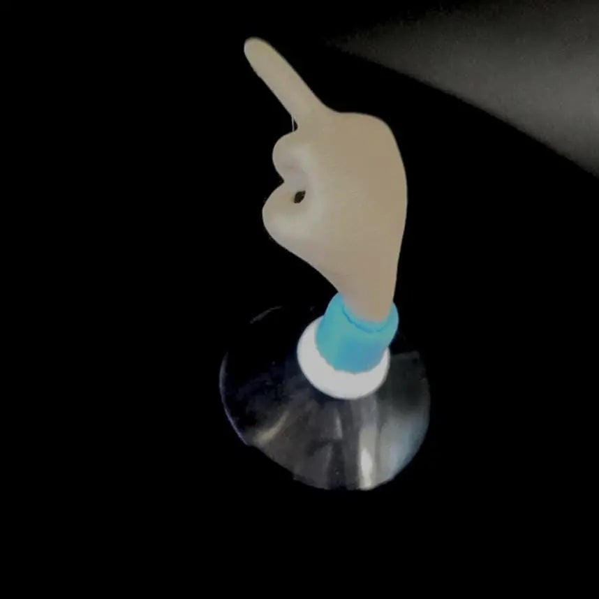 Rick and Morty Middle Finger Prank