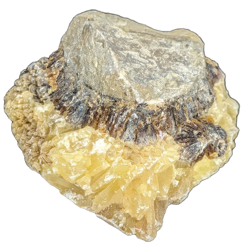 Septarian Raw Natural Crystals