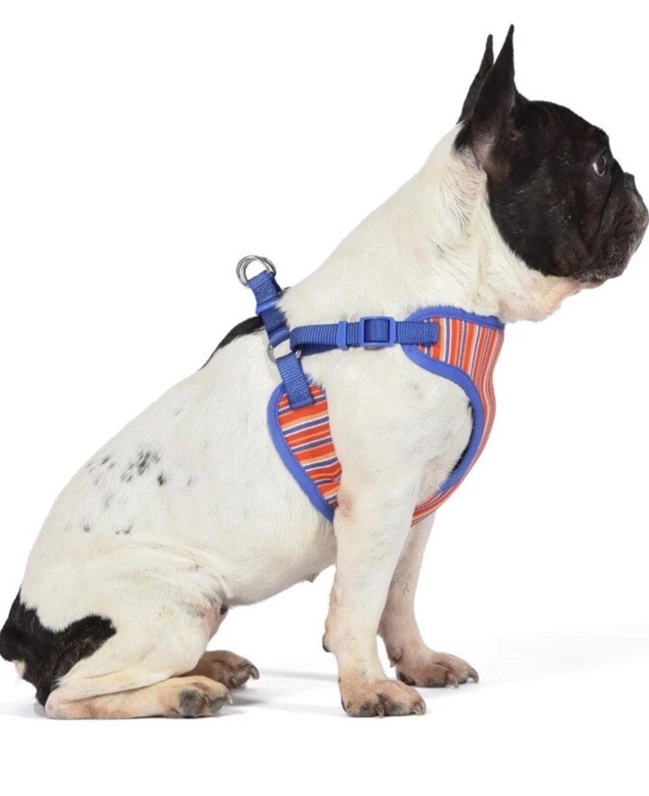 Dog Harness Size Large Striped 45 Individual Harness