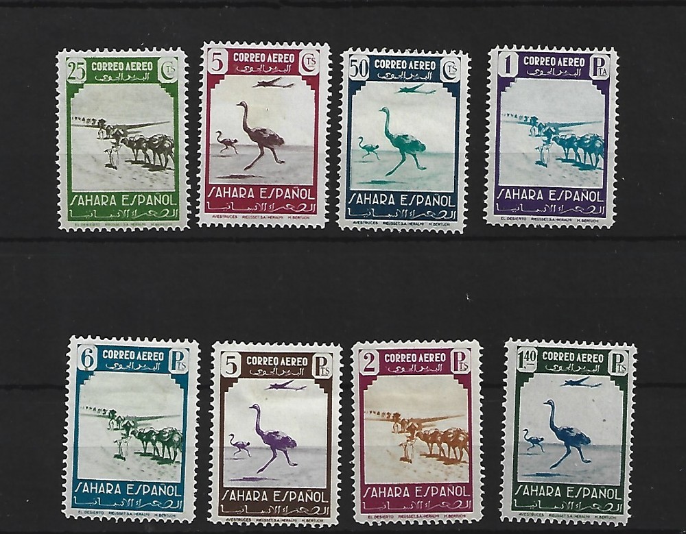 Sahara Edifil 75/82*
