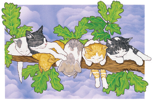 Cats Out on a Limb Blank Note Cards Boxed