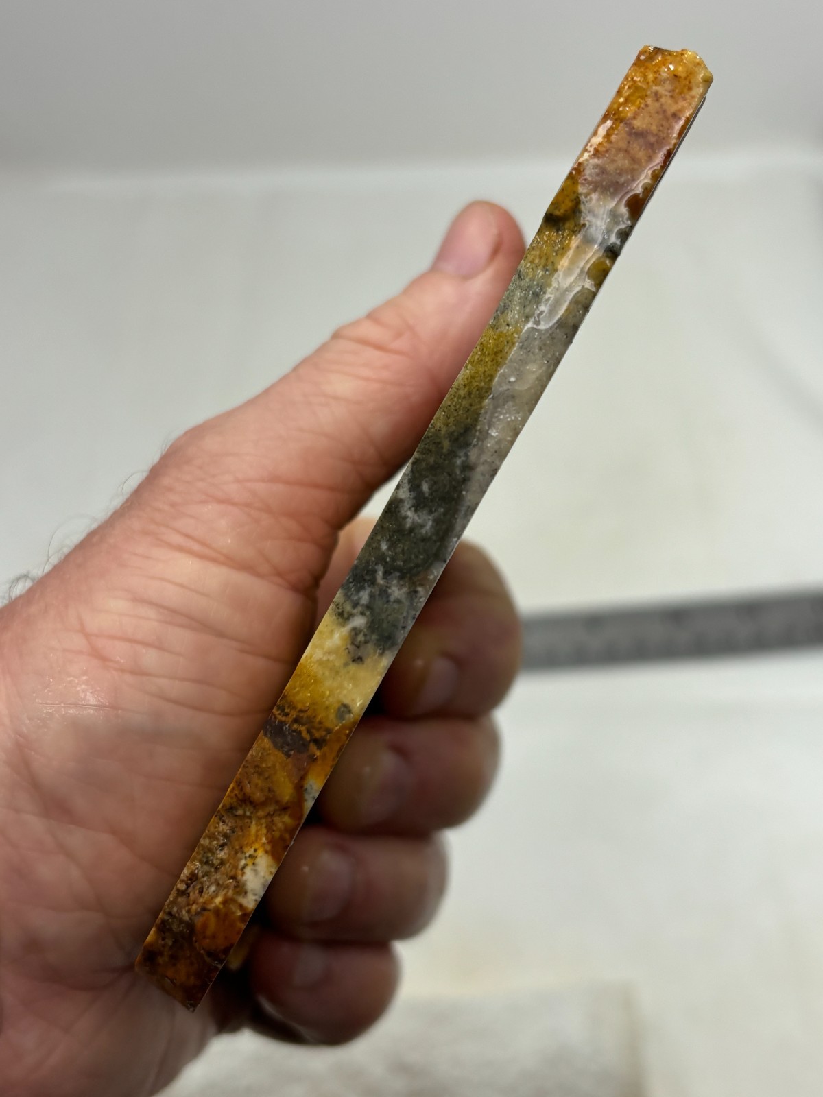 Disaster Peak Picture Jasper Slab Cabbing Lapidary Collecting Combo Ship Avail