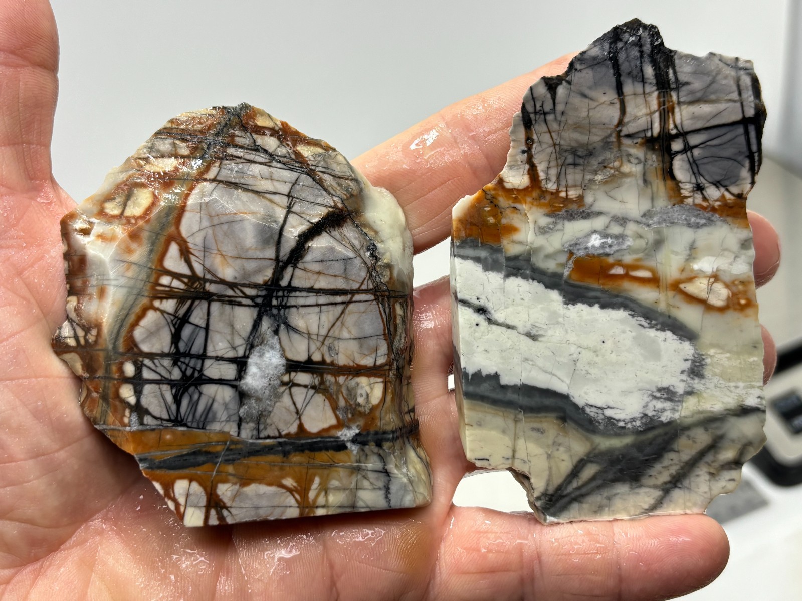 Picasso Marble (Jasper) Slabs Cabbing Lapidary Utah Combo Ship Avail