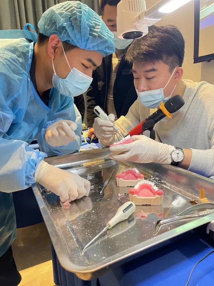 Maxillary+mandibular Tooth Extraction Practice Model Dental Typodont Teeth