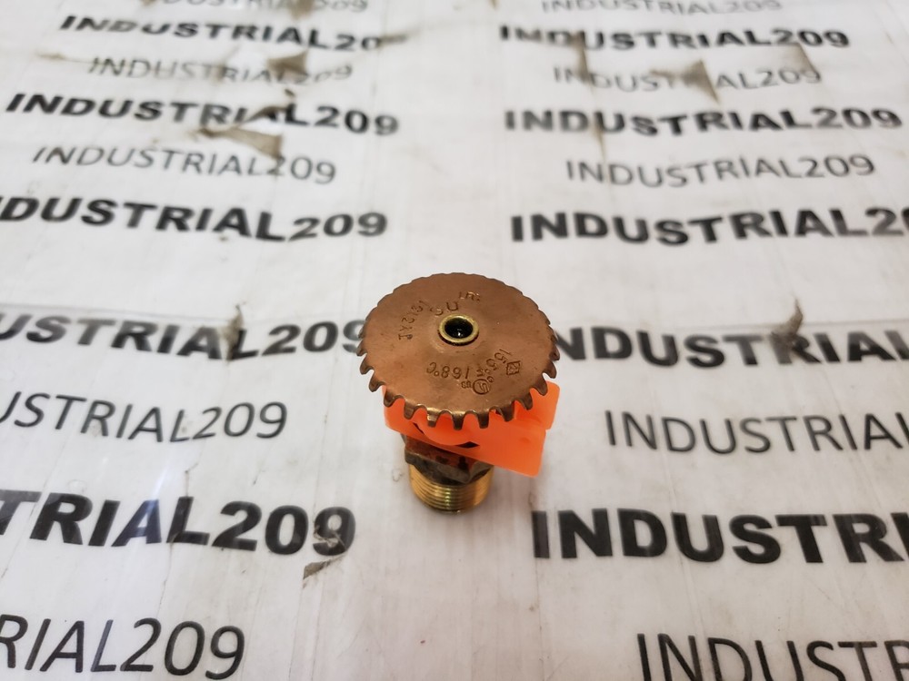 TYCO SPRINKLER HEAD TY 3151 NEW