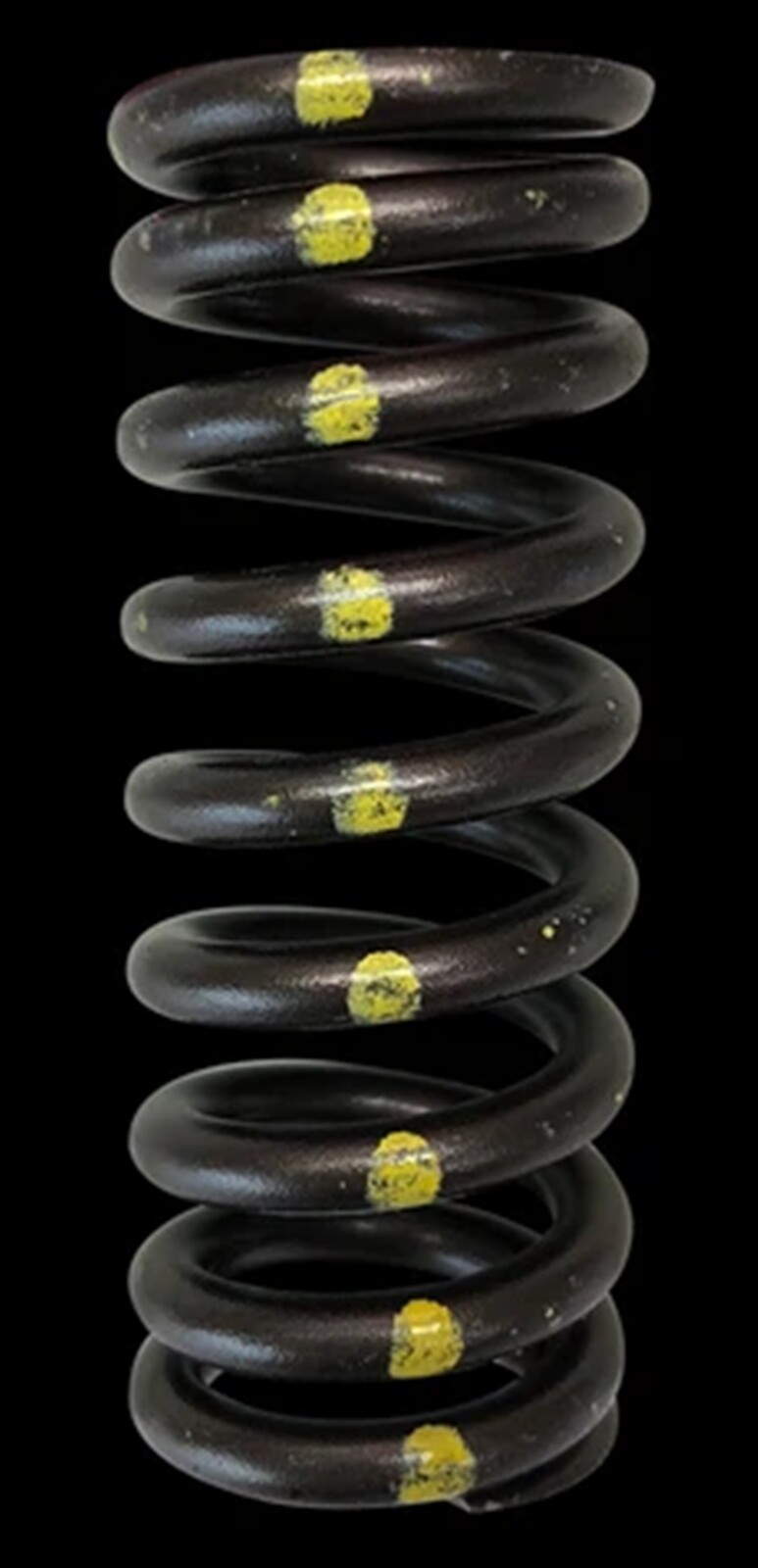 Brian Crower BC1070 Valve Springs Honda L15B7 D15B5 D16Y6 D16Y7 D16Y8 D16Z6 D17A