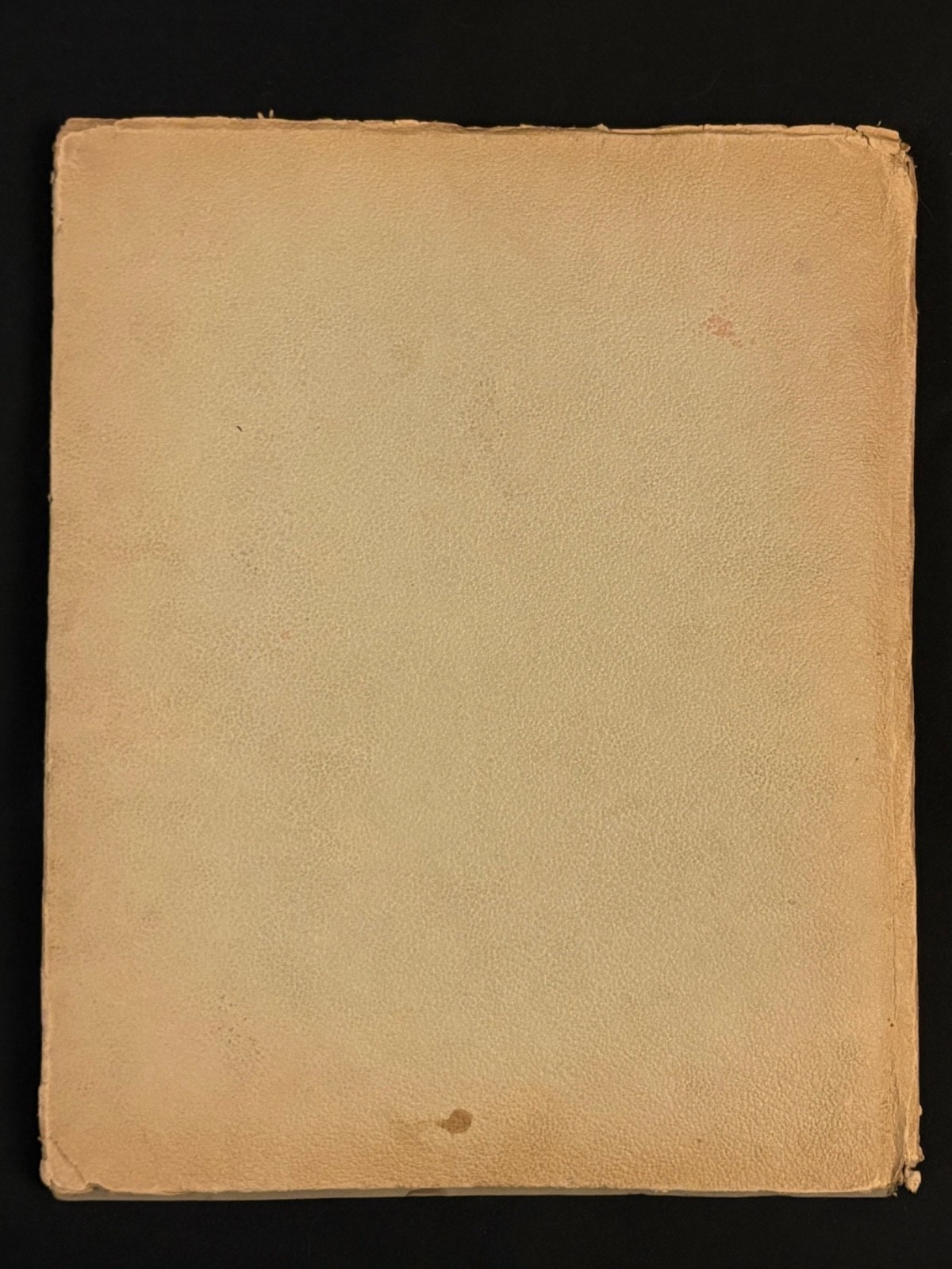 Post Cards Album Embossed Profile Art Nouveau Paper Slotted Pages Vintage Empty