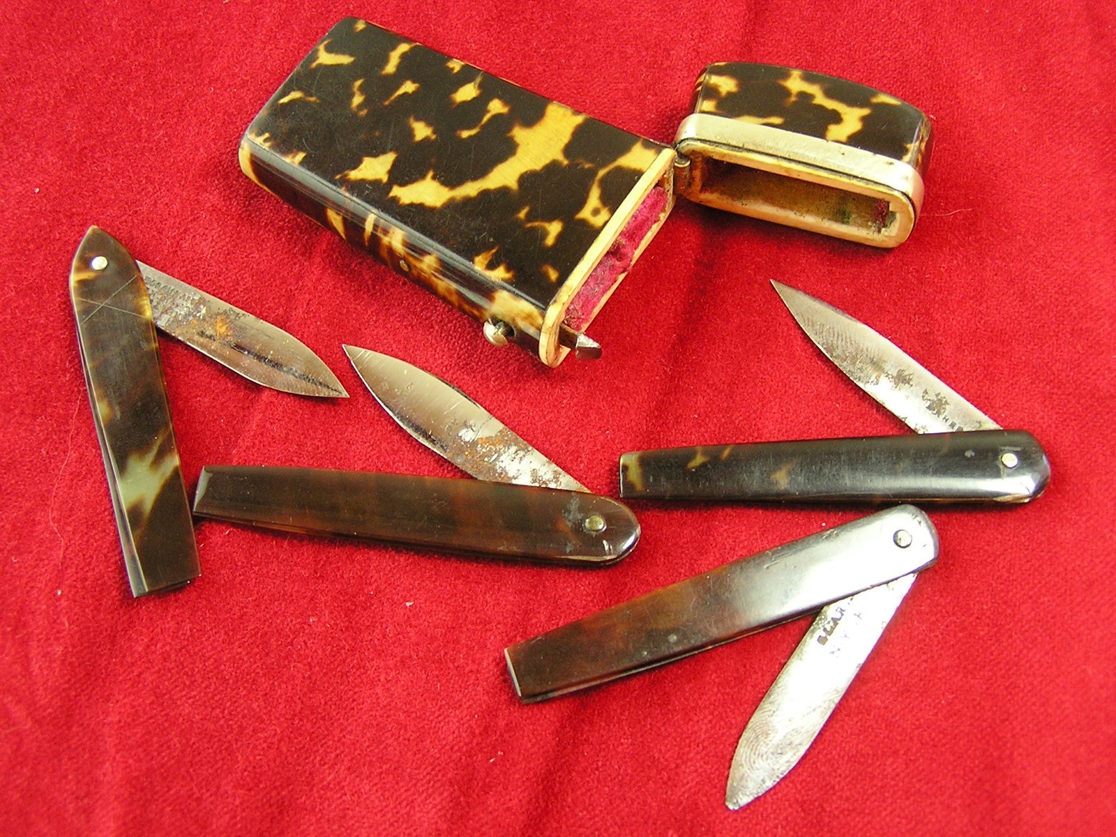 Faux Tortoiseshell Lancet Case, Bloodletting