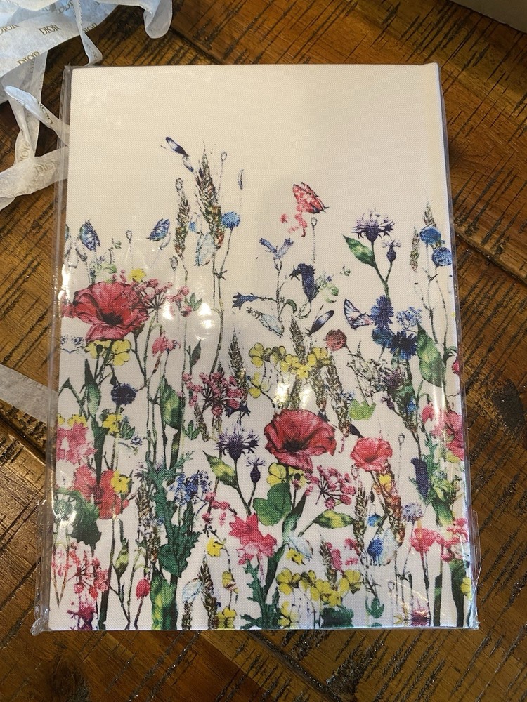 Dior NOTEBOOKS/diaries