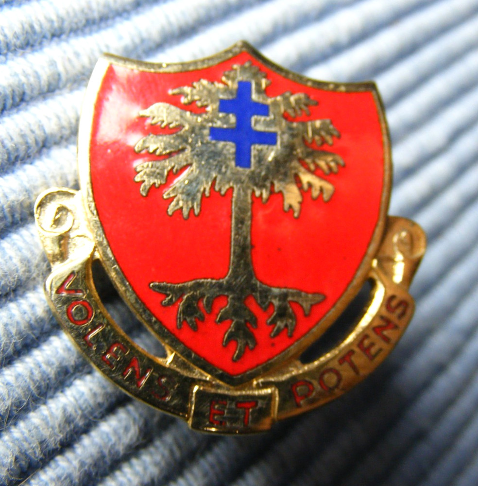 320th Field Artillery Unit Crest