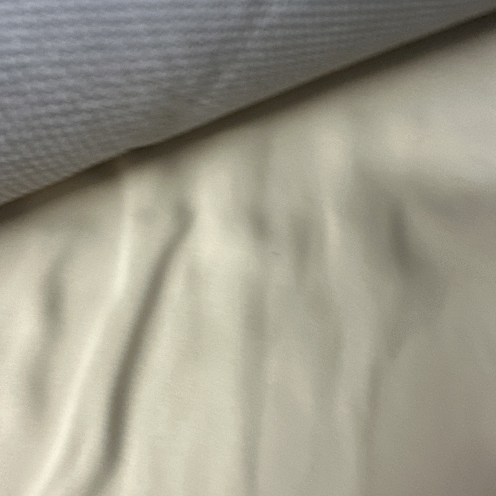 Room Essentials Bath Rug Leaf Green Cotton Non-Skid Monstera 26x34 New *Z