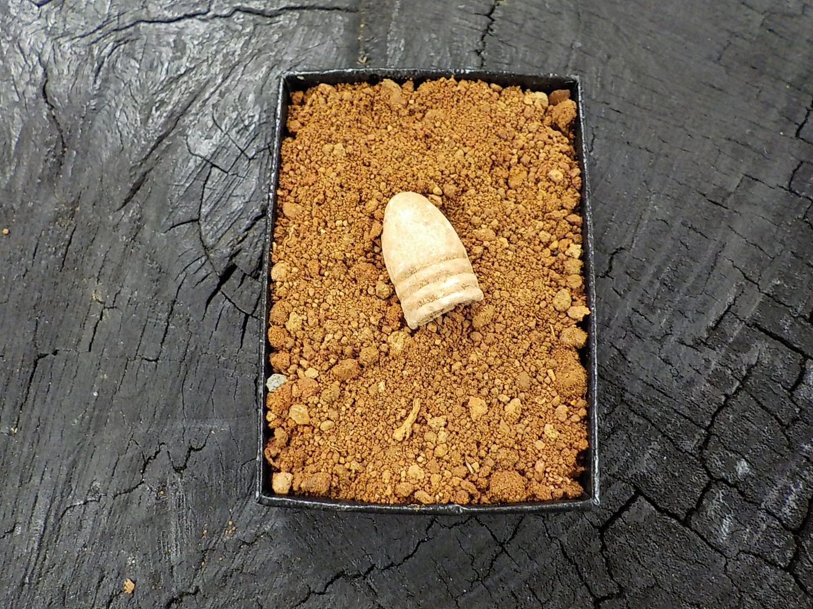 Old Rare Vintage Civil War Miniball in Appomattox Virginia Confederate Camp Soil