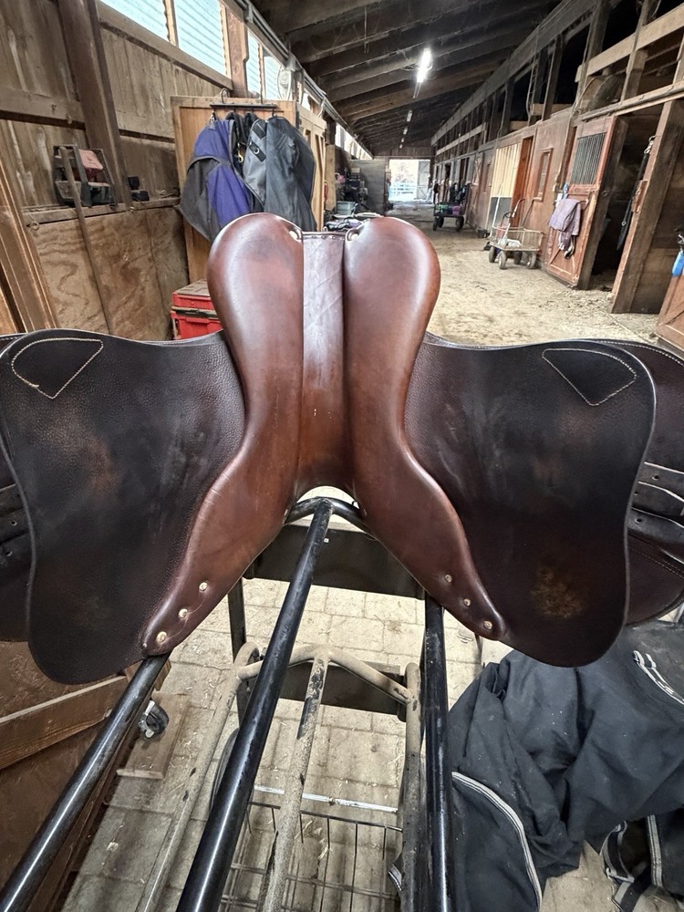 Antares Evolution Close Contact Jump Saddle 17" MW