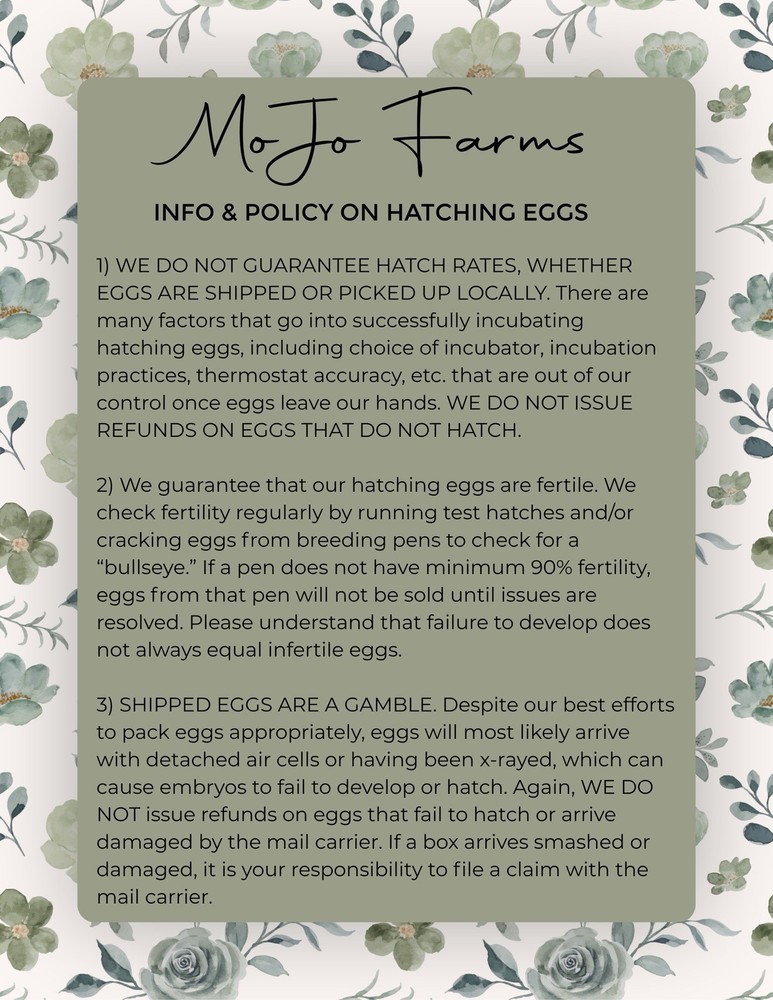 Chocolate, Mauve, Blue, and Black Easter Egger Hatching Eggs NPIP Certified