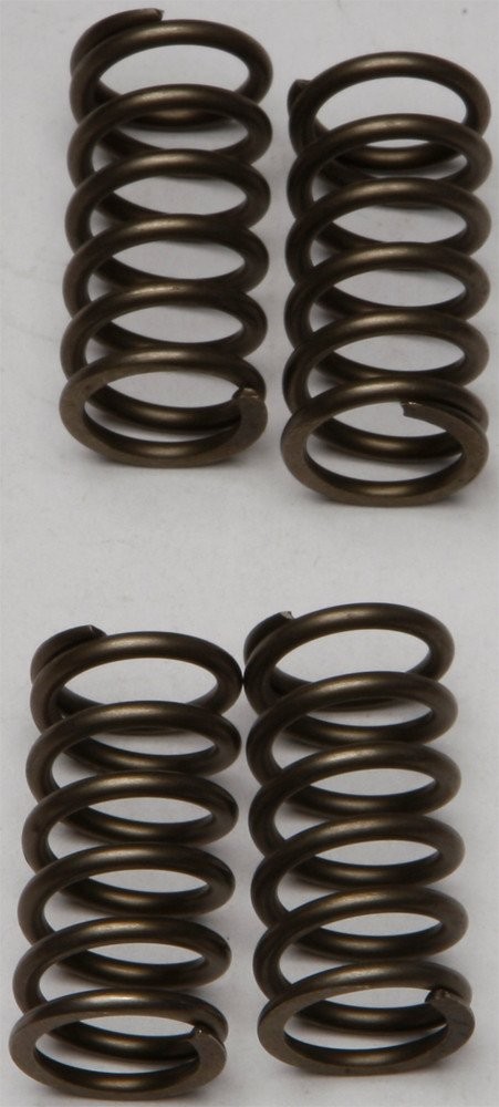 EBC CSK Clutch Spring Set (CSK142)