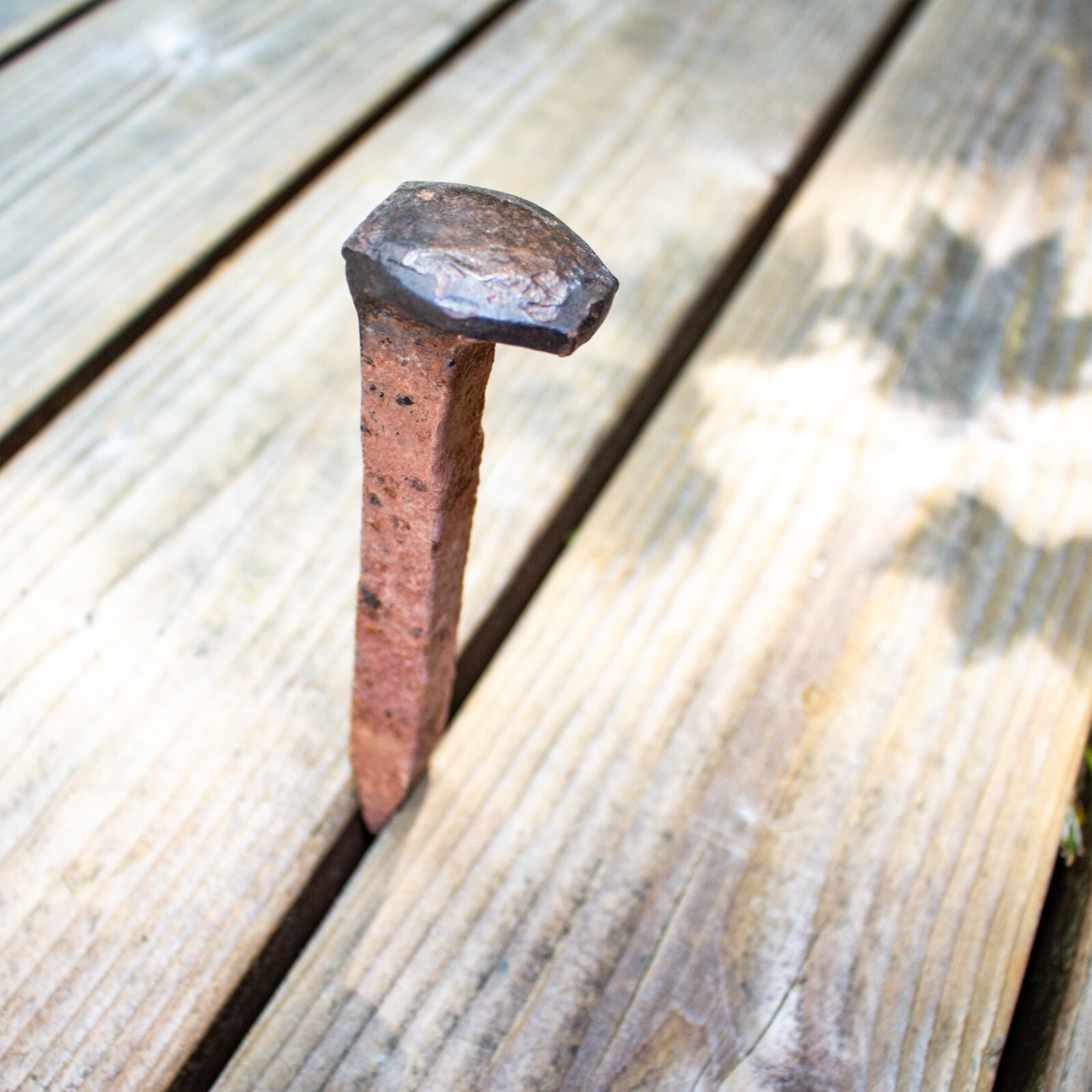 Grandpa 1870 Antique Square Nail used for Goldmine West Rim Grand Canyon Arizona