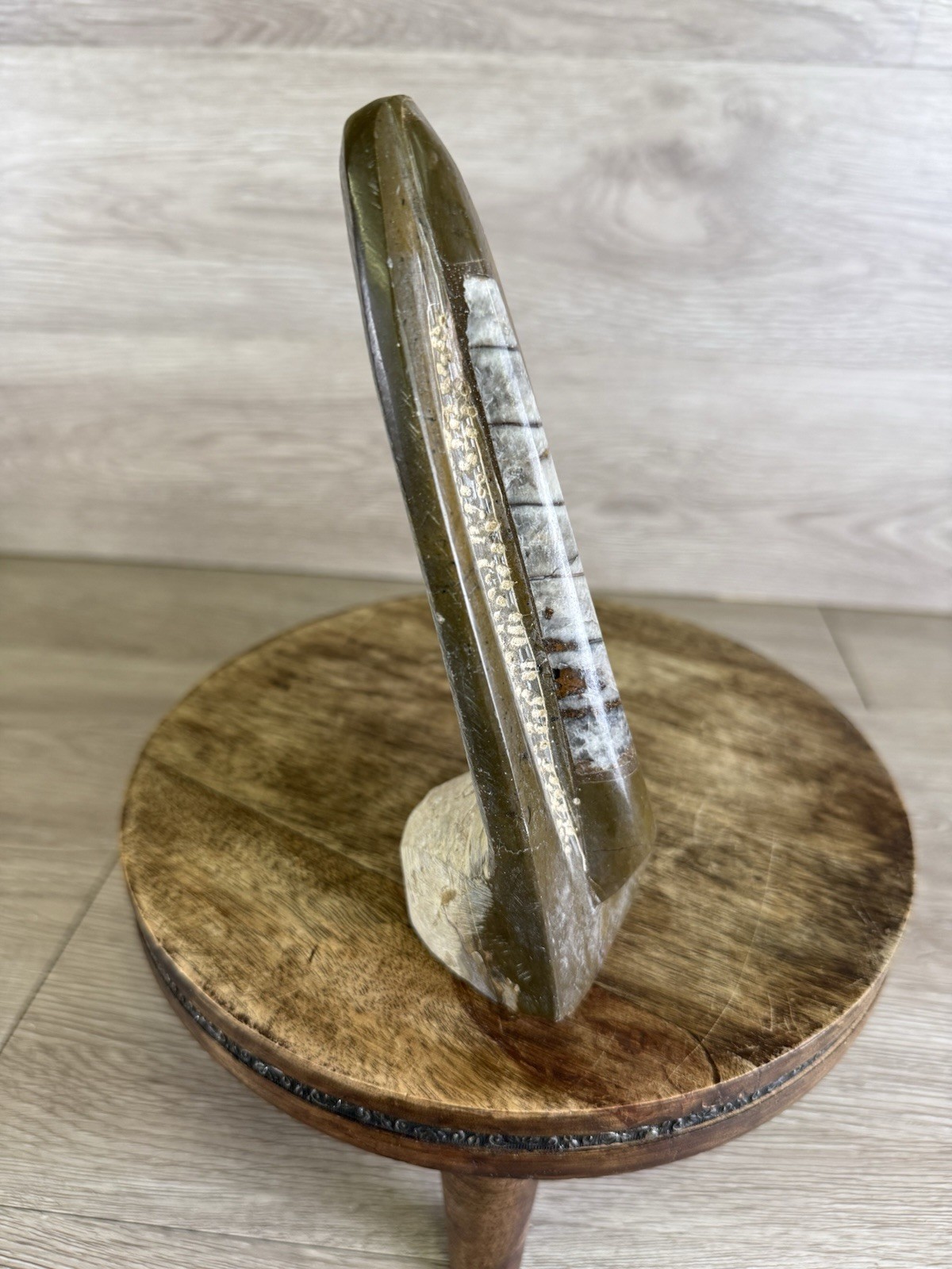 Vintage Standing Orthoceras Fossil 7” - Prehistoric Cephalopod Natural Display