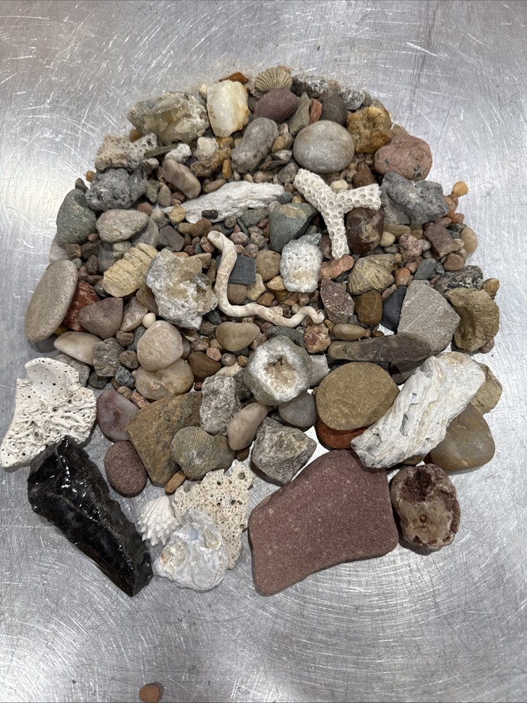 Collectable Rocks & Corral