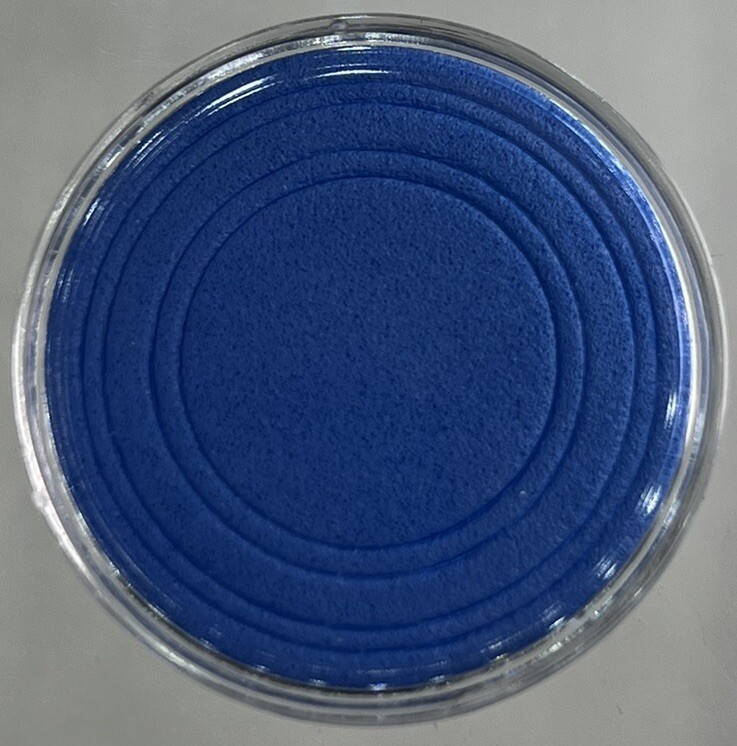 1 x 30mm Coin Storage Protective Clear Capsule + Blue Adjustable Foam Insert