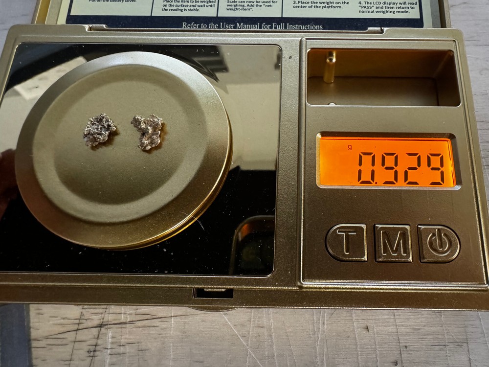 .929 Gram Gold Nugget