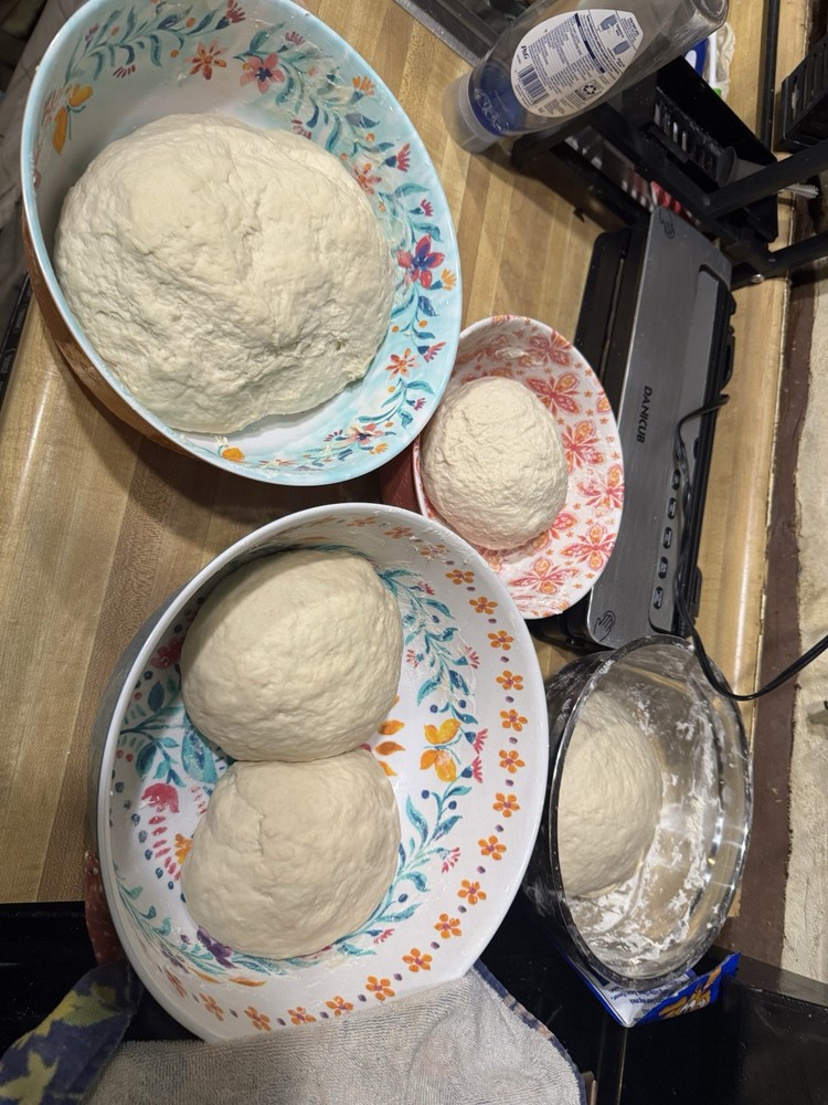 dehydrated sourdough starter