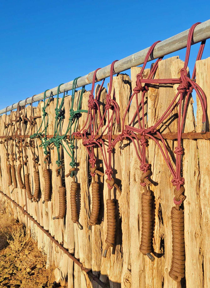 5 Good-Stout Custom rope halters! W/ 10 FT leads!