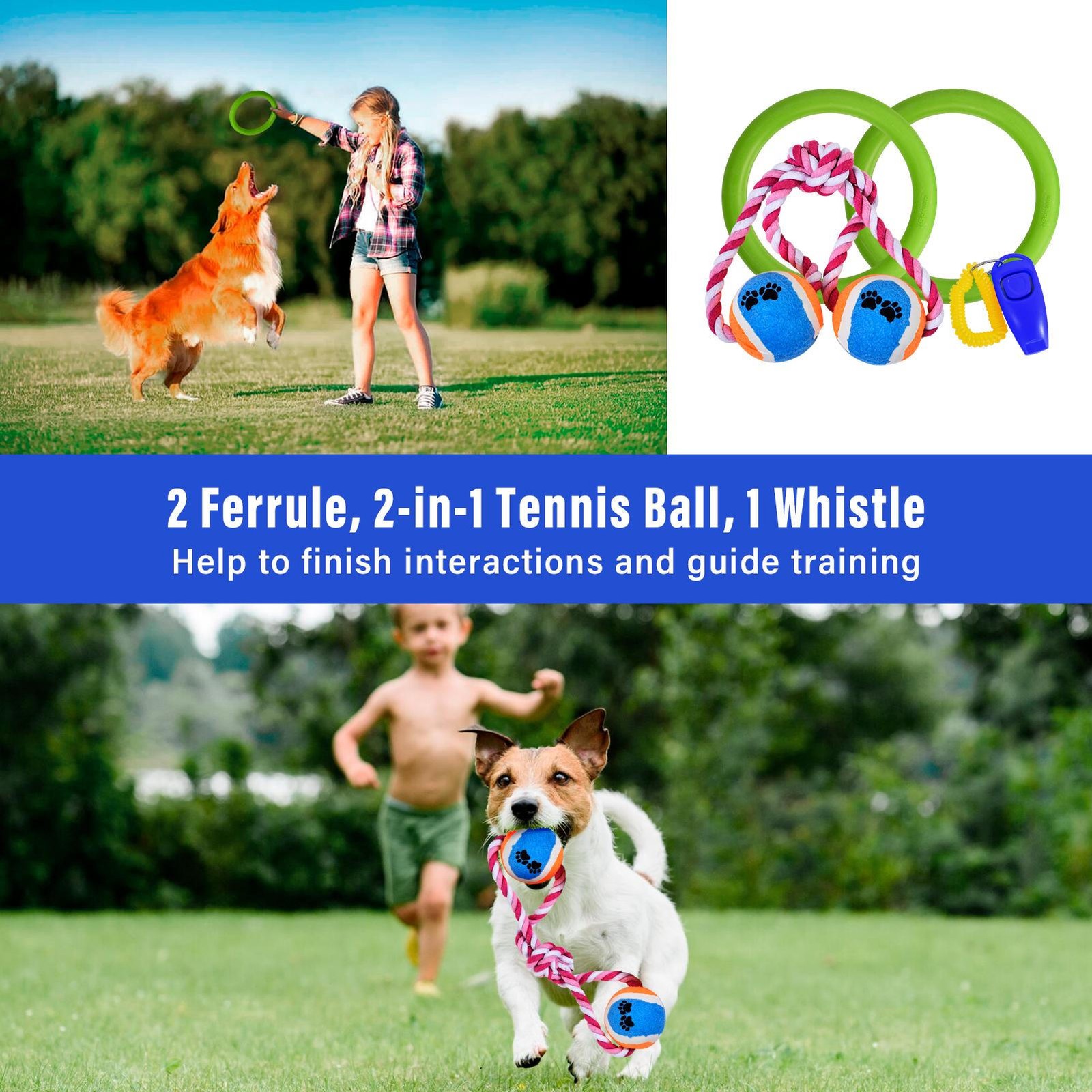 Dog Agility Course Backyard Set, Dog Obstacle Course Training Starter Kit