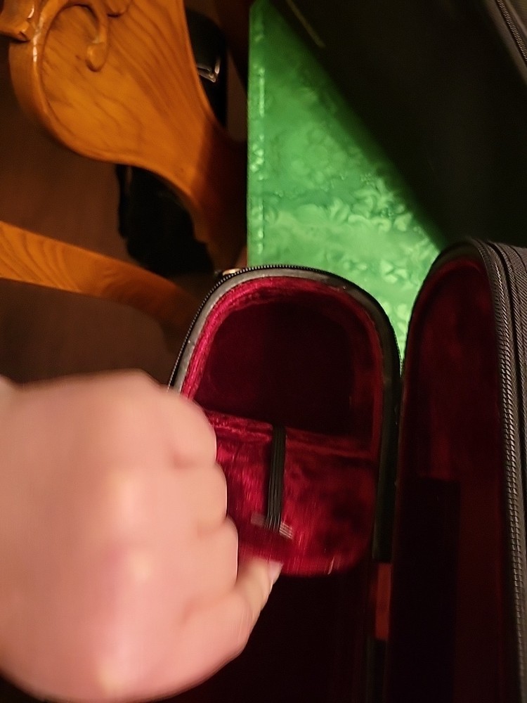 1/2 Eastman Strings Violin Case