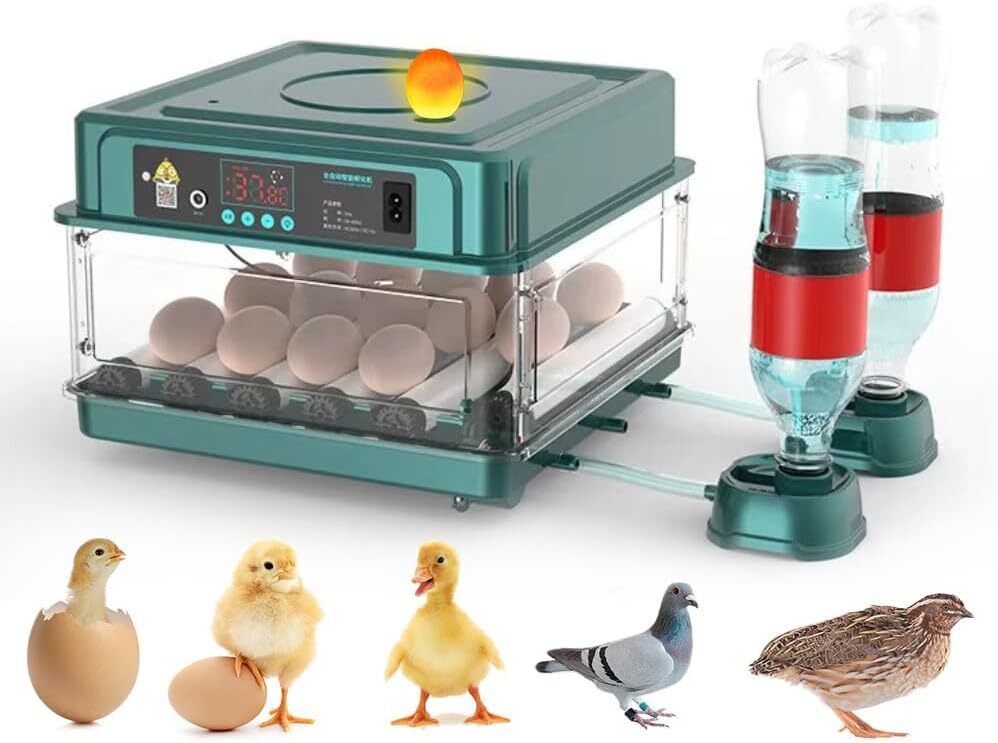 Egg Digital Poultry Hatcher Machine Automatic Egg Turning Temperature & Humidity
