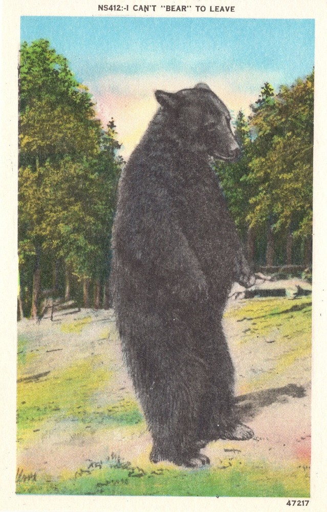 CAN'T "BEAR" TO LEAVE - PC5806