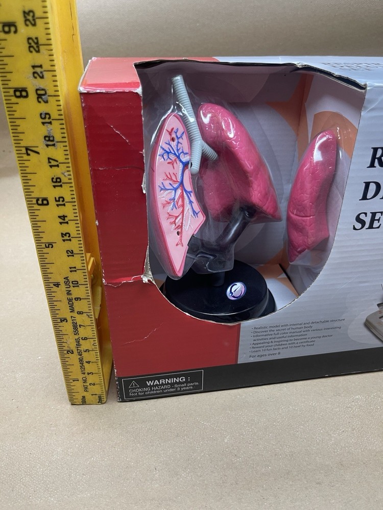 Respritory Deluxe Set Model New Stem University Model Complete