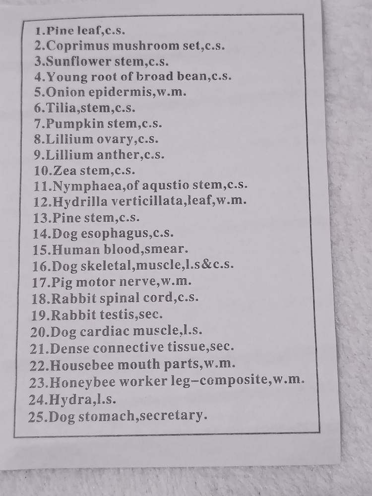 AmScope PS25 Prepared Microscope Slide Set, Basic Biological Science Education