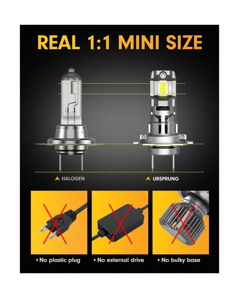 𝐁𝐫𝐢𝐠𝐡𝐭𝐞𝐬𝐭