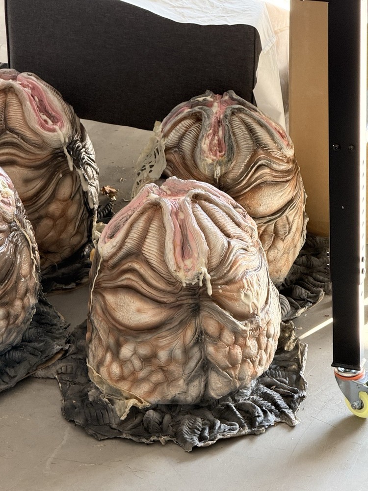 Alien/Xenomorph Eggs