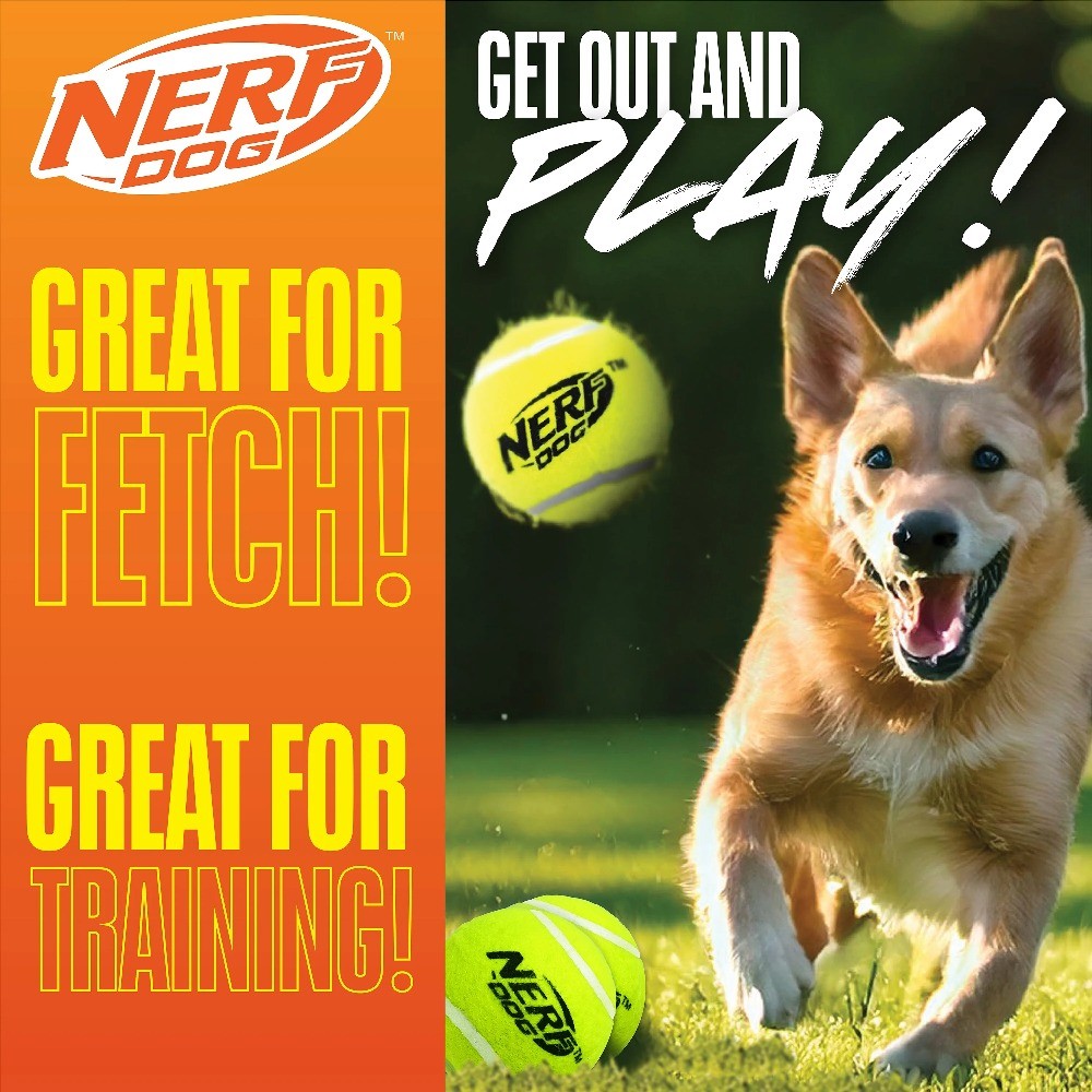 Nerf Dog Tennis Ball Blaster Dog Toy with 4 Balls, 16 inch