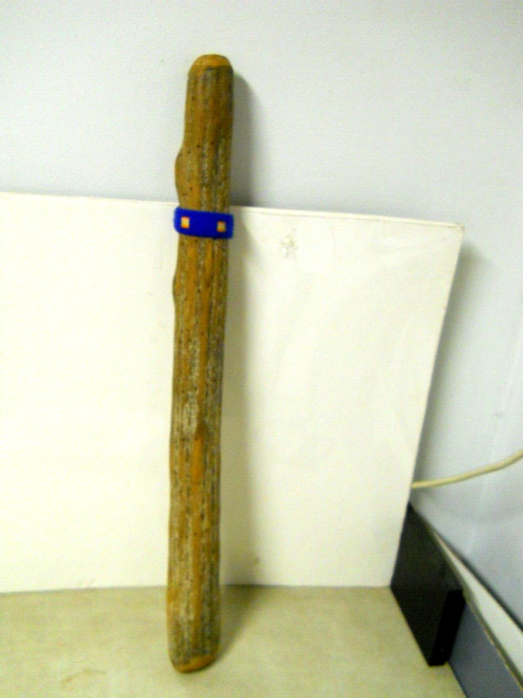 Authentic Chilean Cactus Rainstick Rain Stick 29" Percussion Instrument