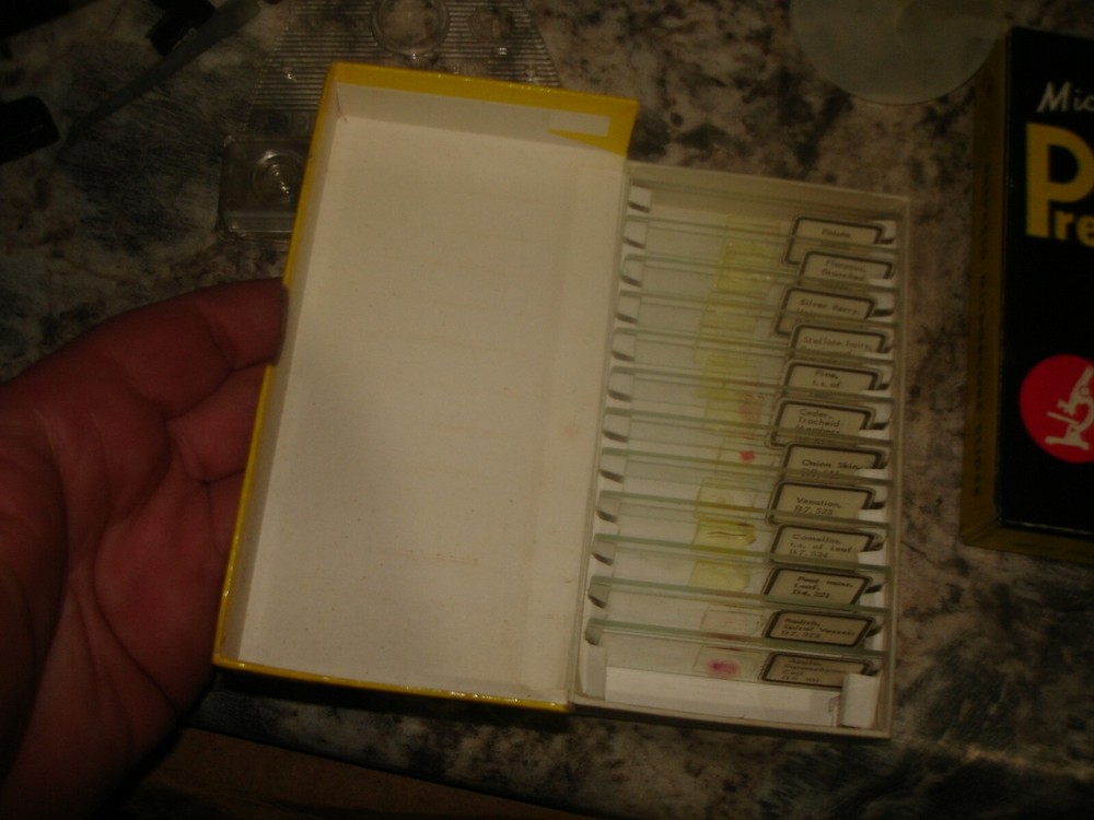 Vintage Gilbert Microcraft Microscope and Storage Cabinet and Slides Cool